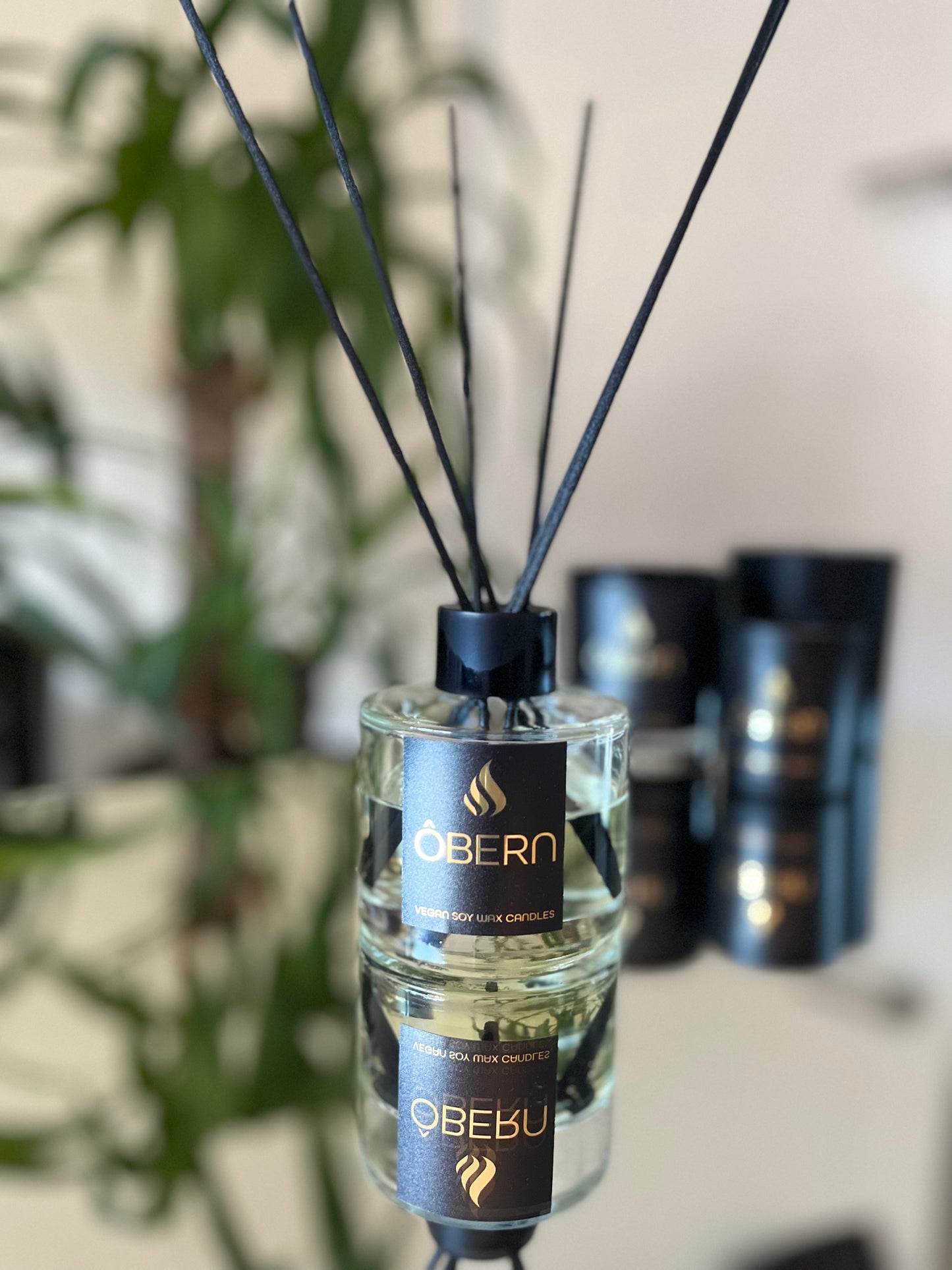 #6 Lemongrass & Peppermint  Reed Diffuser